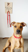 Load image into Gallery viewer, Personalised Dog Lead Holder