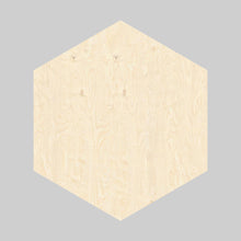 Load image into Gallery viewer, 🐝 Honeycomb Wall Decor Individual Pieces - Add your own photos/text
