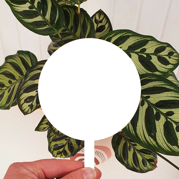 Personalised Plant Stake - Add your own image + text