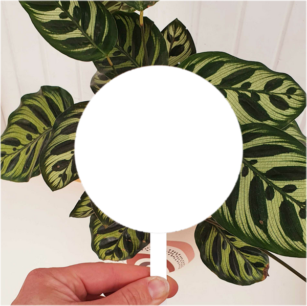 Personalised Plant Stake - Add your own image + message
