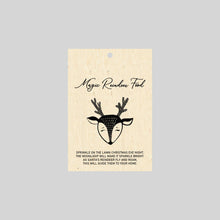 Load image into Gallery viewer, Magic Reindeer Food + Bag - Add name/s
