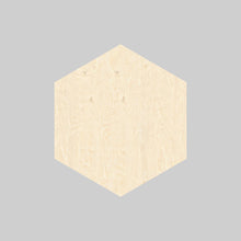 Load image into Gallery viewer, 🐝 Honeycomb Wall Decor Individual Pieces - Add your own photos/text
